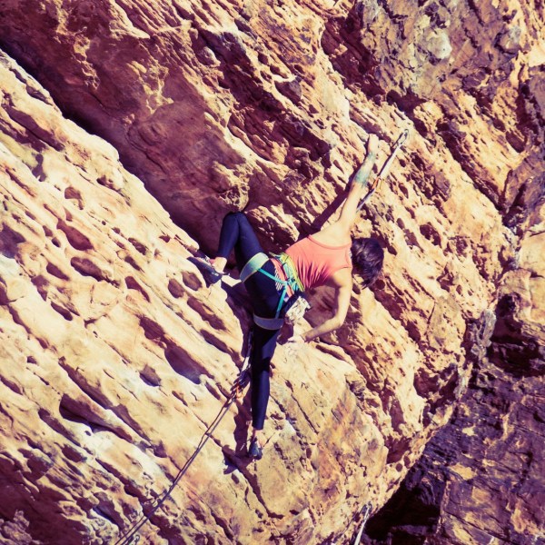 Services Glee Content Marketing